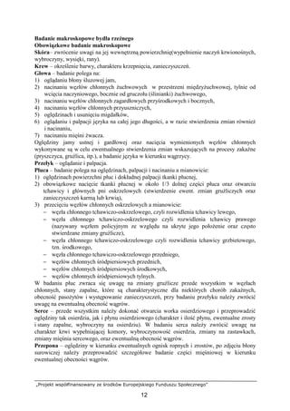 „Projekt współfinansowany ze środków Europejskiego Funduszu Społecznego”
12
Badanie makroskopowe bydła rzeźnego
Obowiązkowe badanie makroskopowe
Skóra– zwrócenie uwagi na jej wewnętrzną powierzchnię(wypełnienie naczyń krwionośnych,
wybroczyny, wysięki, rany).
Krew – określenie barwy, charakteru krzepnięcia, zanieczyszczeń.
Głowa – badanie polega na:
1) oglądaniu błony śluzowej jam,
2) nacinaniu węzłów chłonnych Ŝuchwowych w przestrzeni międzyŜuchwowej, tylnie od
wcięcia naczyniowego, bocznie od gruczołu (ślinianki) Ŝuchwowego,
3) nacinaniu węzłów chłonnych zagardłowych przyśrodkowych i bocznych,
4) nacinaniu węzłów chłonnych przyuszniczych,
5) oględzinach i usunięciu migdałków,
6) oglądaniu i palpacji języka na całej jego długości, a w razie stwierdzenia zmian równieŜ
i nacinaniu,
7) nacinaniu mięśni Ŝwacza.
Oględziny jamy ustnej i gardłowej oraz nacięcia wymienionych węzłów chłonnych
wykonywane są w celu ewentualnego stwierdzenia zmian wskazujących na procesy zakaźne
(pryszczyca, gruźlica, itp.), a badanie języka w kierunku wągrzycy.
Przełyk – oglądanie i palpacja.
Płuca – badanie polega na oględzinach, palpacji i nacinaniu a mianowicie:
1) oględzinach powierzchni płuc i dokładnej palpacji tkanki płucnej,
2) obowiązkowe nacięcie tkanki płucnej w około 1/3 dolnej części płuca oraz otwarciu
tchawicy i głównych pni oskrzelowych (stwierdzenie ewent. zmian gruźliczych oraz
zanieczyszczeń karmą lub krwią),
3) przecięciu węzłów chłonnych oskrzelowych a mianowicie:
− węzła chłonnego tchawiczo-oskrzelowego, czyli rozwidlenia tchawicy lewego,
− węzła chłonnego tchawiczo-oskrzelowego czyli rozwidlenia tchawicy prawego
(nazywany węzłem policyjnym ze względu na ukryte jego połoŜenie oraz często
stwierdzane zmiany gruźlicze),
− węzła chłonnego tchawiczo-oskrzelowego czyli rozwidlenia tchawicy grzbietowego,
tzn. środkowego,
− węzła chłonnego tchawiczo-oskrzelowego przedniego,
− węzłów chłonnych śródpiersiowych przednich,
− węzłów chłonnych śródpiersiowych środkowych,
− węzłów chłonnych śródpiersiowych tylnych.
W badaniu płuc zwraca się uwagę na zmiany gruźlicze przede wszystkim w węzłach
chłonnych, stany zapalne, które są charakterystyczne dla niektórych chorób zakaźnych,
obecność pasoŜytów i występowanie zanieczyszczeń, przy badaniu przełyku naleŜy zwrócić
uwagę na ewentualną obecność wągrów.
Serce – przede wszystkim naleŜy dokonać otwarcia worka osierdziowego i przeprowadzić
oględziny tak osierdzia, jak i płynu osierdziowego (charakter i ilość płynu, ewentualne zrosty
i stany zapalne, wybroczyny na osierdziu). W badaniu serca naleŜy zwrócić uwagę na
charakter krwi wypełniającej komory, wybroczynowość osierdzia, zmiany na zastawkach,
zmiany mięśnia sercowego, oraz ewentualną obecność wągrów.
Przepona – oględziny w kierunku ewentualnych ognisk ropnych i zrostów, po zdjęciu błony
surowiczej naleŜy przeprowadzić szczegółowe badanie części mięśniowej w kierunku
ewentualnej obecności wągrów.
 