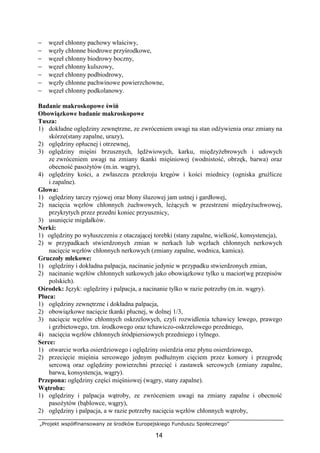 „Projekt współfinansowany ze środków Europejskiego Funduszu Społecznego”
14
− węzeł chłonny pachowy właściwy,
− węzły chłonne biodrowe przyśrodkowe,
− węzeł chłonny biodrowy boczny,
− węzeł chłonny kulszowy,
− węzeł chłonny podbiodrowy,
− węzły chłonne pachwinowe powierzchowne,
− węzeł chłonny podkolanowy.
Badanie makroskopowe świń
Obowiązkowe badanie makroskopowe
Tusza:
1) dokładne oględziny zewnętrzne, ze zwróceniem uwagi na stan odŜywienia oraz zmiany na
skórze(stany zapalne, urazy),
2) oględziny opłucnej i otrzewnej,
3) oględziny mięśni brzusznych, lędźwiowych, karku, międzyŜebrowych i udowych
ze zwróceniem uwagi na zmiany tkanki mięśniowej (wodnistość, obrzęk, barwa) oraz
obecność pasoŜytów (m.in. wągry),
4) oględziny kości, a zwłaszcza przekroju kręgów i kości miednicy (ogniska gruźlicze
i zapalne).
Głowa:
1) oględziny tarczy ryjowej oraz błony śluzowej jam ustnej i gardłowej,
2) nacięcia węzłów chłonnych Ŝuchwowych, leŜących w przestrzeni międzyŜuchwowej,
przykrytych przez przedni koniec przyusznicy,
3) usunięcie migdałków.
Nerki:
1) oględziny po wyłuszczeniu z otaczającej torebki (stany zapalne, wielkość, konsystencja),
2) w przypadkach stwierdzonych zmian w nerkach lub węzłach chłonnych nerkowych
nacięcie węzłów chłonnych nerkowych (zmiany zapalne, wodnica, kamica).
Gruczoły mlekowe:
1) oględziny i dokładna palpacja, nacinanie jedynie w przypadku stwierdzonych zmian,
2) nacinanie węzłów chłonnych sutkowych jako obowiązkowe tylko u macior(wg przepisów
polskich).
Ośrodek: Język: oględziny i palpacja, a nacinanie tylko w razie potrzeby (m.in. wągry).
Płuca:
1) oględziny zewnętrzne i dokładna palpacja,
2) obowiązkowe nacięcie tkanki płucnej, w dolnej 1/3,
3) nacięcie węzłów chłonnych oskrzelowych, czyli rozwidlenia tchawicy lewego, prawego
i grzbietowego, tzn. środkowego oraz tchawiczo-oskrzelowego przedniego,
4) nacięcia węzłów chłonnych śródpiersiowych przedniego i tylnego.
Serce:
1) otwarcie worka osierdziowego i oględziny osierdzia oraz płynu osierdziowego,
2) przecięcie mięśnia sercowego jednym podłuŜnym cięciem przez komory i przegrodę
sercową oraz oględziny powierzchni przecięć i zastawek sercowych (zmiany zapalne,
barwa, konsystencja, wągry).
Przepona: oględziny części mięśniowej (wągry, stany zapalne).
Wątroba:
1) oględziny i palpacja wątroby, ze zwróceniem uwagi na zmiany zapalne i obecność
pasoŜytów (bąblowce, wągry),
2) oględziny i palpacja, a w razie potrzeby nacięcia węzłów chłonnych wątroby,
 