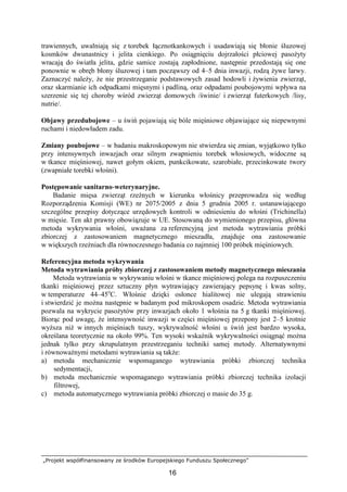 „Projekt współfinansowany ze środków Europejskiego Funduszu Społecznego”
16
trawiennych, uwalniają się z torebek łącznotkankowych i usadawiają się błonie śluzowej
kosmków dwunastnicy i jelita cienkiego. Po osiągnięciu dojrzałości płciowej pasoŜyty
wracają do światła jelita, gdzie samice zostają zapłodnione, następnie przedostają się one
ponownie w obręb błony śluzowej i tam począwszy od 4–5 dnia inwazji, rodzą Ŝywe larwy.
Zaznaczyć naleŜy, Ŝe nie przestrzeganie podstawowych zasad hodowli i Ŝywienia zwierząt,
oraz skarmianie ich odpadkami mięsnymi i padliną, oraz odpadami poubojowymi wpływa na
szerzenie się tej choroby wśród zwierząt domowych /świnie/ i zwierząt futerkowych /lisy,
nutrie/.
Objawy przedubojowe – u świń pojawiają się bóle mięśniowe objawiające się niepewnymi
ruchami i niedowładem zadu.
Zmiany poubojowe – w badaniu makroskopowym nie stwierdza się zmian, wyjątkowo tylko
przy intensywnych inwazjach oraz silnym zwapnieniu torebek włosiowych, widoczne są
w tkance mięśniowej, nawet gołym okiem, punkcikowate, szarobiałe, przecinkowate twory
(zwapniałe torebki włośni).
Postępowanie sanitarno-weterynaryjne.
Badanie mięsa zwierząt rzeźnych w kierunku włośnicy przeprowadza się według
Rozporządzenia Komisji (WE) nr 2075/2005 z dnia 5 grudnia 2005 r. ustanawiającego
szczególne przepisy dotyczące urzędowych kontroli w odniesieniu do włośni (Trichinella)
w mięsie. Ten akt prawny obowiązuje w UE. Stosowaną do wymienionego przepisu, główna
metoda wykrywania włośni, uwaŜana za referencyjną jest metoda wytrawiania próbki
zbiorczej z zastosowaniem magnetycznego mieszadła, znajduje ona zastosowanie
w większych rzeźniach dla równoczesnego badania co najmniej 100 próbek mięśniowych.
Referencyjna metoda wykrywania
Metoda wytrawiania próby zbiorczej z zastosowaniem metody magnetycznego mieszania
Metoda wytrawiania w wykrywaniu włośni w tkance mięśniowej polega na rozpuszczeniu
tkanki mięśniowej przez sztuczny płyn wytrawiający zawierający pepsynę i kwas solny,
w temperaturze 44–45o
C. Włośnie dzięki osłonce hialitowej nie ulegają strawieniu
i stwierdzić je moŜna następnie w badanym pod mikroskopem osadzie. Metoda wytrawiania
pozwala na wykrycie pasoŜytów przy inwazjach około 1 włośnia na 5 g tkanki mięśniowej.
Biorąc pod uwagę, Ŝe intensywność inwazji w części mięśniowej przepony jest 2–5 krotnie
wyŜsza niŜ w innych mięśniach tuszy, wykrywalność włośni u świń jest bardzo wysoka,
określana teoretycznie na około 99%. Ten wysoki wskaźnik wykrywalności osiągnąć moŜna
jednak tylko przy skrupulatnym przestrzeganiu techniki samej metody. Alternatywnymi
i równowaŜnymi metodami wytrawiania są takŜe:
a) metoda mechanicznie wspomaganego wytrawiania próbki zbiorczej technika
sedymentacji,
b) metoda mechanicznie wspomaganego wytrawiania próbki zbiorczej technika izolacji
filtrowej,
c) metoda automatycznego wytrawiania próbki zbiorczej o masie do 35 g.
 