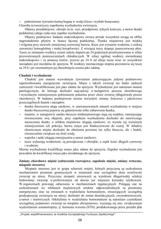 „Projekt współfinansowany ze środków Europejskiego Funduszu Społecznego”
28
− jednostronne Ŝywienie karmą bogatą w wodę (liście i wytłoki buraczane).
Choroba ta towarzyszy zupełnemu wychudzeniu zwierzęcia.
Objawy przedubojowe: obrzęki m.in. szyi, przedpiersia, tylnych kończyn, a nawet tkanki
podskórnej całego ciała oraz zupełne wychudzenie.
Objawy poubojowe: badanie makroskopowe zwraca przede wszystkim uwagę na obfite
nagromadzenie płynów w tkance łącznej podskórnej. Tkanka mięśniowa jest miękka
i wilgotna przy niewiele zmienionej czerwonej barwie. Krew jest wyraźnie wodnista, o niskiej
zawartości hemoglobiny i małej krzepliwości. Z wiszącej tuszy skapuje jasnoczerwony płyn.
Tusze ze zmianami wodnicy ocenić naleŜy dopiero po 24 godzinach przetrzymywania w silnie
przewietrzanych pomieszczeniach chłodniczych. W silnej ogólnej wodnicy stwierdzanej
makroskopowo i za pomocą testów, jeszcze po 24 h od uboju tusza wraz ze wszystkimi
narządami jest niezdatna do spoŜycia. W wodnicy nieznacznego stopnia pozostawia się tuszę
na 24 h i po ewentualnym jej obeschnięciu ocenia jako zdatną.
Chudość i wychudzenie
Chudość jest stanem wywołanym Ŝywieniem pokrywającym jedynie podstawowe
zapotrzebowanie energetyczne zwierzęcia. Mięso z takich zwierząt nie budzi Ŝadnych
zastrzeŜeń i kwalifikowane jest jako zdatne do spoŜycia. Wychudzenie jest natomiast stanem
patologicznym, do którego dochodzi najczęściej w następstwie procesu chorobowego
i wywołanym zmniejszonym pobieraniem pokarmu przez chore zwierzę (długotrwały proces
chorobowy). W badaniu poubojowym moŜna stwierdzić zmiany ilościowe i jakościowe
poszczególnych tkanek i narządów:
− tkanka tłuszczowa ulega zanikowi, w zaawansowanych stanach wychudzenia w miejsce
tkanki tłuszczowej pojawia się galaretowata Ŝółto zabarwiona tkanka,
− mięśnie, w następstwie zaniku tłuszczu śródmięśniowego stają się miękkie, zmniejszając
równocześnie swą objętość, przy zupełnym wychudzeniu dochodzi do surowiczego
nacieczenia tkanki, a włókna mięśniowe ulegają zanikowi, co wyraŜa się wyraźnym
zmniejszeniem ich pokroju, barwa mięsa jest bladoczerwona do szarej. W składzie
chemicznym mięśni dochodzi do obniŜenia poziomu nie tylko tłuszczu, ale i białek,
równocześnie zwiększa się ilość wody,
− wątroba i nerki ulegają zmniejszeniu a nawet zanikowi,
− tusze wykazują wodnistość, są powiększone i obrzękłe, a szpik kości długich czerwony
i wodnisty.
Mierne wychudzenie kwalifikuje mięso jako zdatne do spoŜycia. Zupełne wychudzenie jest
powodem do kwalifikacji mięsa jako niezdatnego do spoŜycia.
Zmiany chorobowe mięśni (zaburzenia rozwojowe, zapalenie mięśni, zmiany wsteczne,
miopatie stresowe)
Miopatie stresowe jest to grupa schorzeń mięśni, których przyczyną są uszkodzenia
mechanizmów przemian genetycznych w mięśniach oraz szczególnie duŜa wraŜliwość
zwierząt na stresy. Przyczyny miopatii stresowych są wynikiem długotrwałej selekcji
hodowlanej zwierząt w preferowanym od dawna juŜ mięsnym kierunku uŜytkowym.
W organizmach powstają zaburzenia w mechanizmach regulacyjnych. Polegają one na
uszkodzeniach we włóknach mięśniowych struktur odpowiedzialnych za przemiany
energetyczne, oraz na zmianach w wydzielaniu hormonalnym, stwarzających szczególną
predyspozycję zwierzęcia na stresy; dochodzi do zmian destrukcyjnych, zwyrodnieniowych,
a nawet i martwiczych. Odchylenia w wydzielaniu hormonalnym są natomiast czynnikami
szczególnej podatności zwierząt na miopatie obciąŜeniowe, wyraŜają się one: zwiększonym
wydzielaniem somatotropiny, tj. hormonu wzrostu (STH), produkowanego przez przedni płat
 