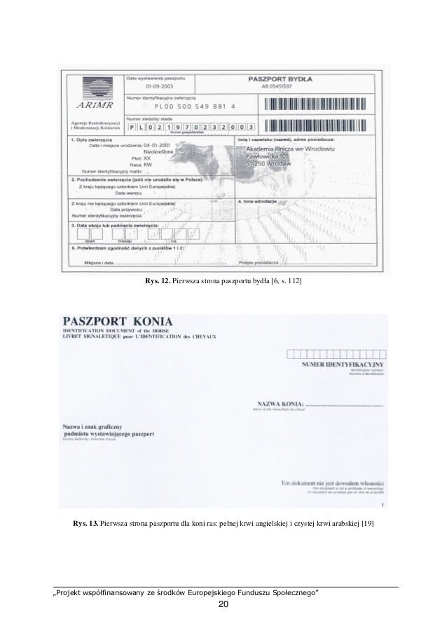 randkowe aplikacje sieciowe