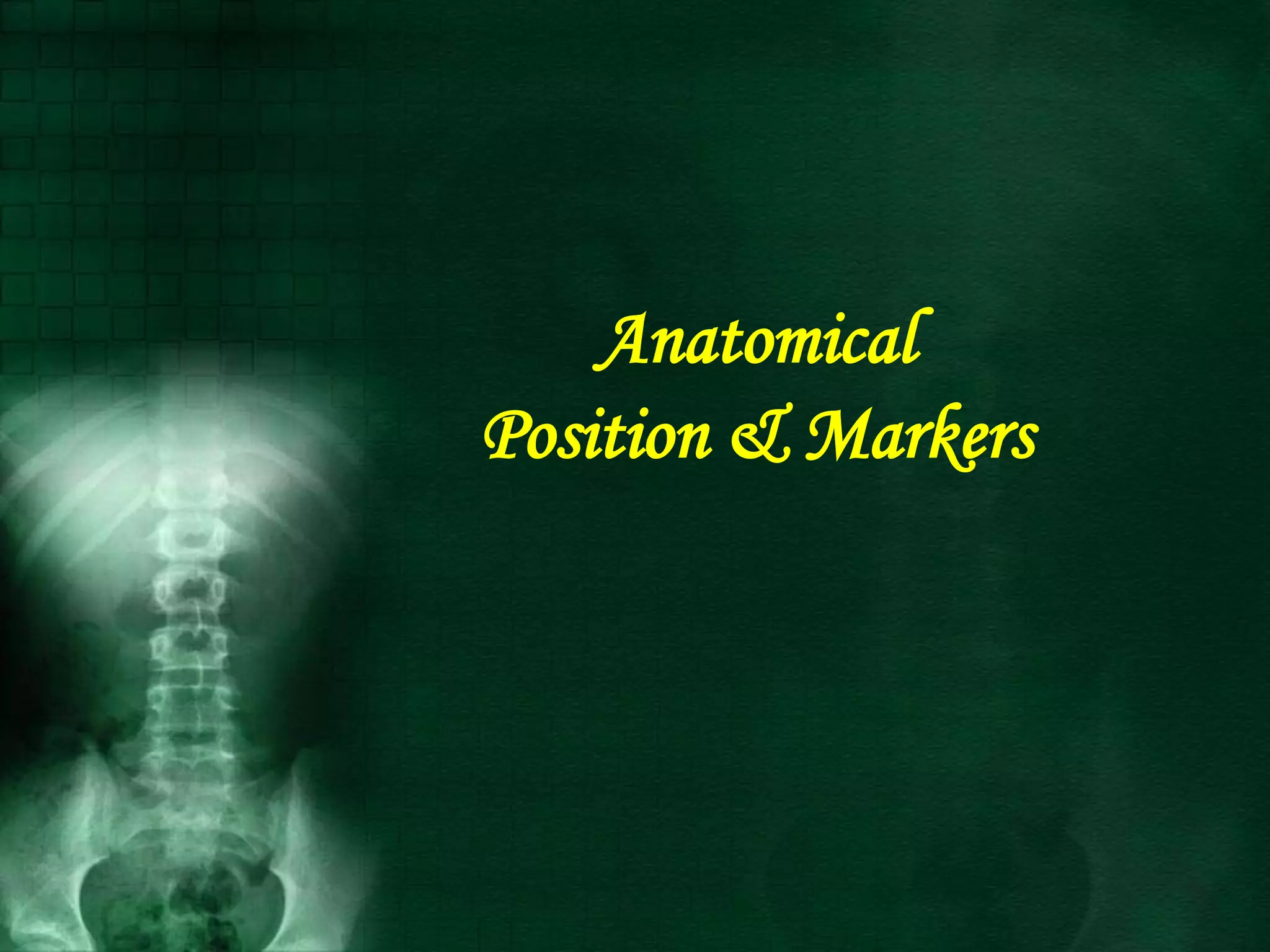 Anatomical
Position & Markers
 
