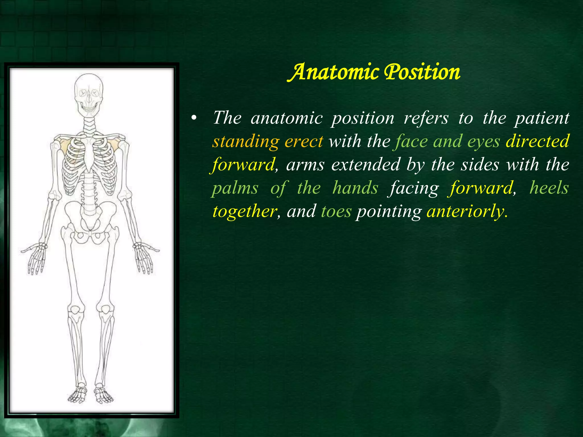 Anatomic Position
• The anatomic position refers to the patient
standing erect with the face and eyes directed
forward, arms extended by the sides with the
palms of the hands facing forward, heels
together, and toes pointing anteriorly.
 