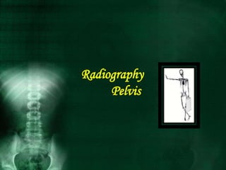 Radiography
Pelvis
 