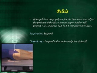 • If the pelvis is deep, palpate for the iliac crest and adjust
the position of the IR so that its upper border will
project 1 to 1/2 inches (2.5 to 3.8 cm) above the Crest.
Respiration: Suspend.
Central ray : Perpendicular to the midpoint of the IR
Pelvis
 