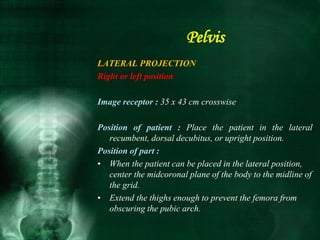 Pelvis
LATERAL PROJECTION
Right or left position
Image receptor : 35 x 43 cm crosswise
Position of patient : Place the patient in the lateral
recumbent, dorsal decubitus, or upright position.
Position of part :
• When the patient can be placed in the lateral position,
center the midcoronal plane of the body to the midline of
the grid.
• Extend the thighs enough to prevent the femora from
obscuring the pubic arch.
 