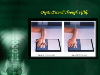 Digits (Second Through Fifth)
 