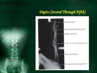 Digits (Second Through Fifth)
 