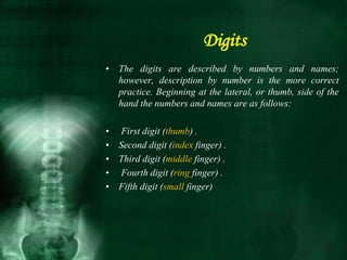 Digits
• The digits are described by numbers and names;
however, description by number is the more correct
practice. Beginning at the lateral, or thumb, side of the
hand the numbers and names are as follows:
• First digit (thumb) .
• Second digit (index finger) .
• Third digit (middle finger) .
• Fourth digit (ring finger) .
• Fifth digit (small finger)
 