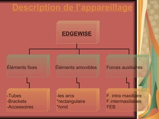Description de l’appareillage   EDGEWISE Éléments fixes Éléments amovibles  Forces auxiliaires  -les arcs  *rectangulaire *rond -Tubes  -Brackets  -Accessoires F. intra maxillaire F.intermaxiilaires FEB  
