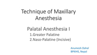 Technique of Maxillary
Anesthesia
Palatal Anesthesia I
1.Greater Palatine
2.Naso-Palatine (Incisive)
Anumesh Dahal
BPKIHS, Nepal
 