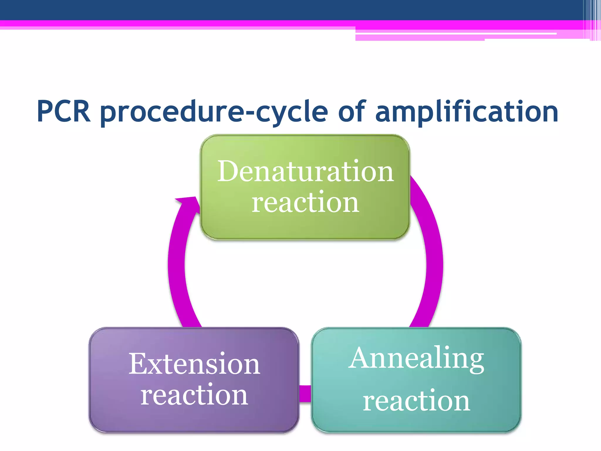 PCR procedure-cycle of amplification
            Denaturation
              reaction




      Extension      Annealing
       reaction       reaction
 