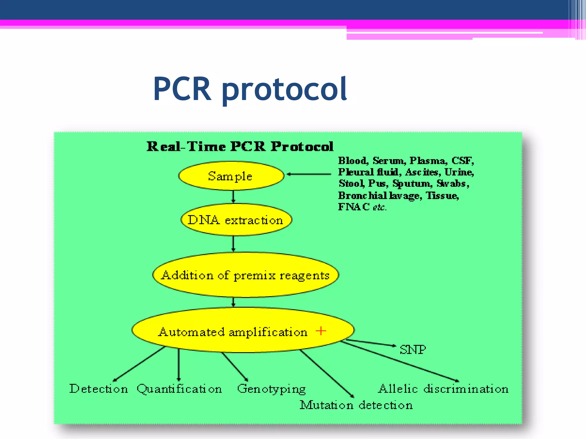 PCR protocol
 