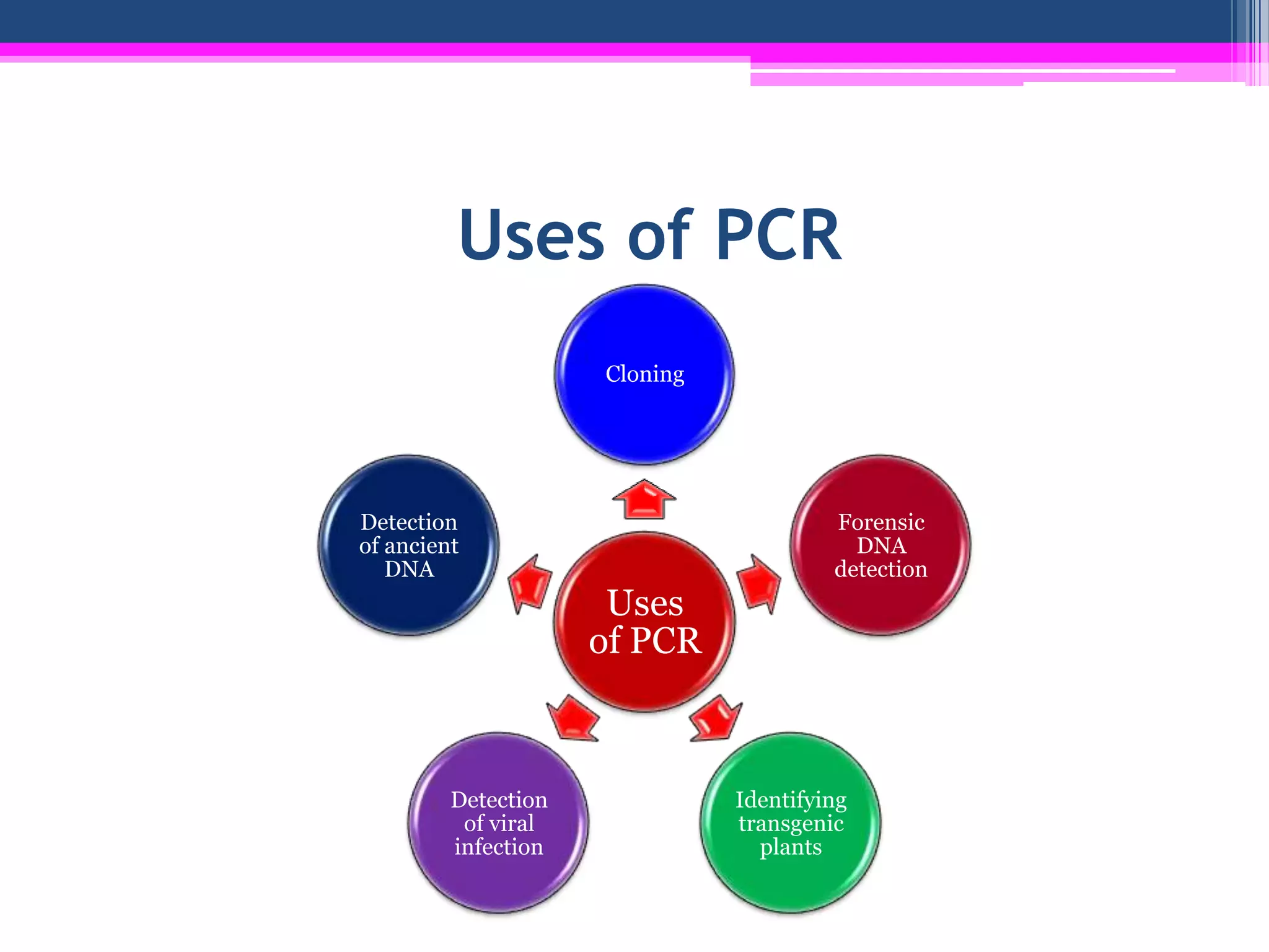 Uses of PCR
                     Cloning




Detection                               Forensic
of ancient                                DNA
   DNA                                  detection
                      Uses
                     of PCR



         Detection             Identifying
          of viral             transgenic
         infection               plants
 