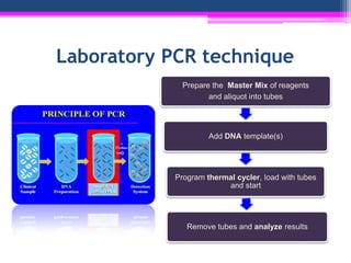 Core Sample Pcr Technique of polymerase chain reaction (pcr) experimental biotechnology ...