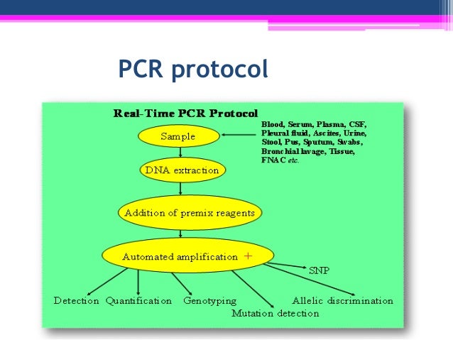 technique of polymerase chain reaction pcr experimental biotechnolo pcr technique