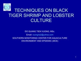 TECHNIQUES ON BLACK TIGER SHRIMP   AND LOBSTER CULTURE DO QUANG TIEN VUONG, MSc. Email:  [email_address] SOUTHERN MONITORING CENTER FOR AQUACULTURE ENVIRONMENT AND EPIDEMIC (MCE) 