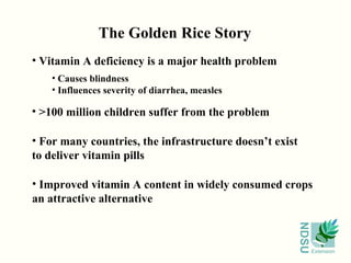 The Golden Rice Story Vitamin A deficiency is a major health problem Causes blindness Influences severity of diarrhea, measles >100 million children suffer from the problem For many countries, the infrastructure doesn’t exist to deliver vitamin pills Improved vitamin A content in widely consumed crops an attractive alternative 