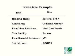 Trait/Gene Examples RoundUp Ready Bacterial EPSP Golden Rice Complete Pathway Plant Virus Resistance Viral Coat Protein Male Sterility Barnase Plant Bacterial Resistance p35 Salt tolerance AtNHX1 Trait Gene 
