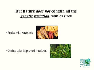 But nature  does not  contain all the genetic   variation  man desires Fruits with vaccines Grains with improved nutrition 