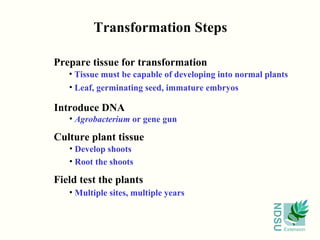 Transformation Steps Prepare tissue for transformation Introduce DNA Culture plant tissue Field test the plants Agrobacterium  or gene gun Multiple sites, multiple years Develop shoots Root the shoots Leaf, germinating seed, immature embryos Tissue must be capable of developing into normal plants 