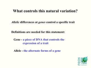 What controls this natural variation? Allelic  differences at  genes  control a specific trait Definitions are needed for this statement: Gene -  a piece of DNA that controls the expression of a trait Allele -  the alternate forms of a gene 