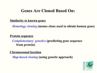 Genes Are Cloned Based On:

Similarity to known genes
 Homology cloning (mouse clone used to obtain human gene)


Protein sequence
 Complementary genetics (predicting gene sequence
    from protein)

Chromosomal location
 Map-based cloning (using genetic approach)




                                                    NDSU
                                                           Extension
 