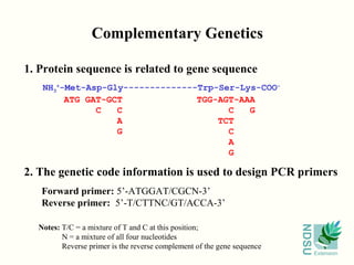 Complementary Genetics

1. Protein sequence is related to gene sequence
   NH3+-Met-Asp-Gly--------------Trp-Ser-Lys-COO-
        ATG GAT-GCT              TGG-AGT-AAA
              C   C                    C   G
                  A                  TCT
                  G                    C
                                       A
                                       G

2. The genetic code information is used to design PCR primers
   Forward primer: 5’-ATGGAT/CGCN-3’
   Reverse primer: 5’-T/CTTNC/GT/ACCA-3’

  Notes: T/C = a mixture of T and C at this position;




                                                                         NDSU
         N = a mixture of all four nucleotides
         Reverse primer is the reverse complement of the gene sequence
                                                                                Extension
 