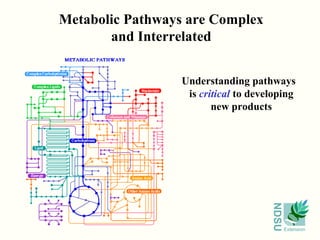 Metabolic Pathways are Complex
       and Interrelated


                  Understanding pathways
                   is critical to developing
                         new products




                                      NDSU
                                             Extension
 