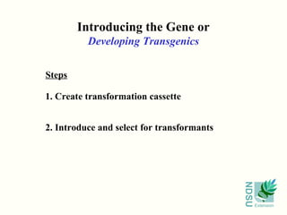 Introducing the Gene or
          Developing Transgenics

Steps

1. Create transformation cassette


2. Introduce and select for transformants




                                            NDSU
                                                   Extension
 
