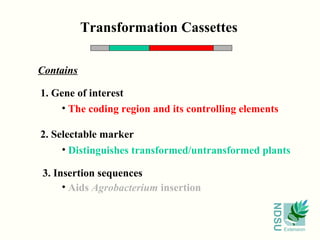Transformation Cassettes

Contains

1. Gene of interest
    • The coding region and its controlling elements

2. Selectable marker
     • Distinguishes transformed/untransformed plants

3. Insertion sequences
     • Aids Agrobacterium insertion




                                                  NDSU
                                                         Extension
 