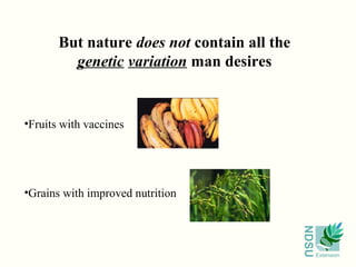 But nature does not contain all the
         genetic variation man desires


•Fruits with vaccines




•Grains with improved nutrition




                                             NDSU
                                                    Extension
 
