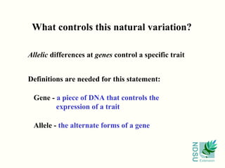What controls this natural variation?

Allelic differences at genes control a specific trait


Definitions are needed for this statement:

 Gene - a piece of DNA that controls the
        expression of a trait

 Allele - the alternate forms of a gene




                                                        NDSU
                                                               Extension
 