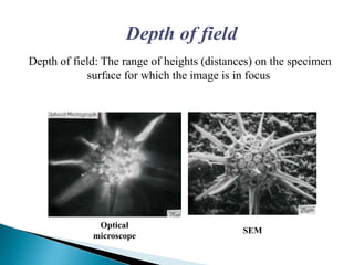 Depth of field
Depth of field: The range of heights (distances) on the specimen
surface for which the image is in focus
Optical
microscope
SEM
 