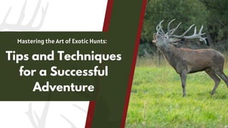 Mastering the Art of Exotic Hunts:
Tips and Techniques
for a Successful
Adventure
 