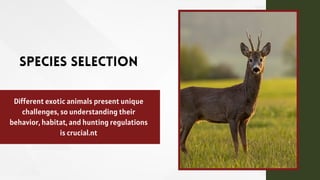 Species Selection
Different exotic animals present unique
challenges, so understanding their
behavior, habitat, and hunting regulations
is crucial.nt
 