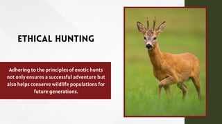 Ethical Hunting
Adhering to the principles of exotic hunts
not only ensures a successful adventure but
also helps conserve wildlife populations for
future generations.
 