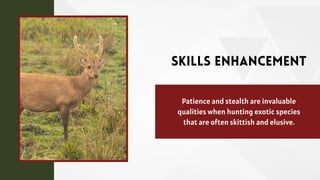 Skills Enhancement
Patience and stealth are invaluable
qualities when hunting exotic species
that are often skittish and elusive.
 