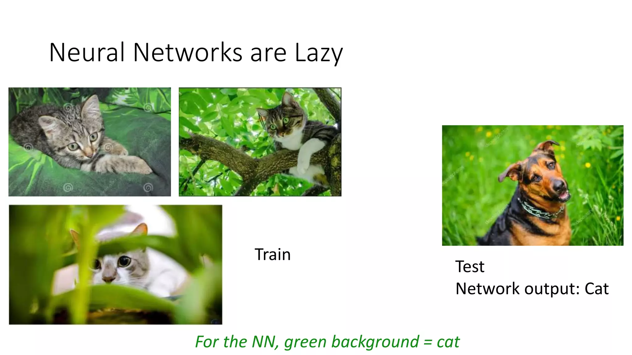 Neural Networks are Lazy
Train
For the NN, green background = cat
Test
Network output: Cat
 