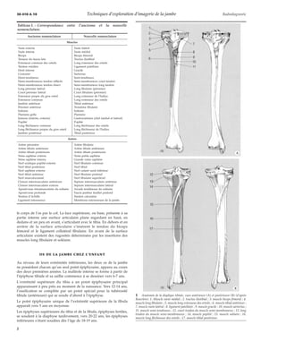 Techniques d’exploration d’imagerie de la jambe
