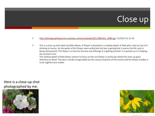 Close up
 http://photographybyvarina.com/wp-content/uploads/2011/08/ohio_2099.jpg 15/10/15 at 11:14
 This is a close up shot taken by Mike Moats. A flower is denoted in a shallow depth of field with a bee on top of it
drinking its nectar. As the petals of the flower seem wilted but the bee is getting fed, it seems the life cycle is
being represented. The flower is a host for the bee and although it is getting drained- it is positive as it is helping
the animal to live.
The shallow depth of field allows viewers to focus on the one flower in particular whilst the close up gives
attention to detail. The bee is hardly recognisable but the various textures of the animal and the flower enables it
to be slightly more visible.
Here is a close-up shot
photographed by me.
 