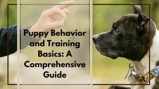 Puppy Behavior
and Training
Basics: A
Comprehensive
Guide
 