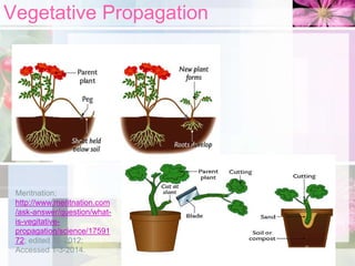 Vegetative Propagation

Meritnation;
http://www.meritnation.com
/ask-answer/question/whatis-vegitativepropagation/science/17591
72; edited 10-2012;
Accessed 1-3-2014.

 