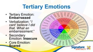 Tertiary Emotions
• Tertiary Emotion:
Embarrassed
• Verbalization: “I
cant’ believe I did
that. What an
embarrassment.”
• Secondary
Emotion: Insecure
• Core Emotion:
Scared
 