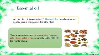 Essential oil
An essential oil is concentrated Hydrophobic liquid containing
volatile aroma compounds from the plant.
They...