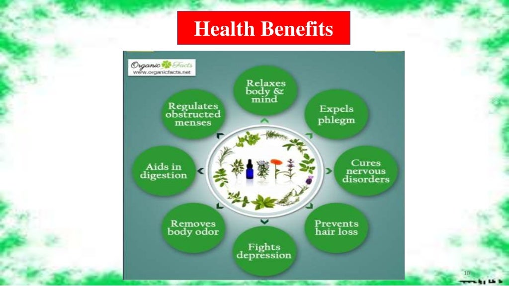 Techniques for extraction of essential oils
