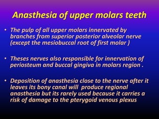 Anasthesia for upper anterior teeth
The upper anterior teeth and its supporting
tissues and mucoperiosteum related to them...