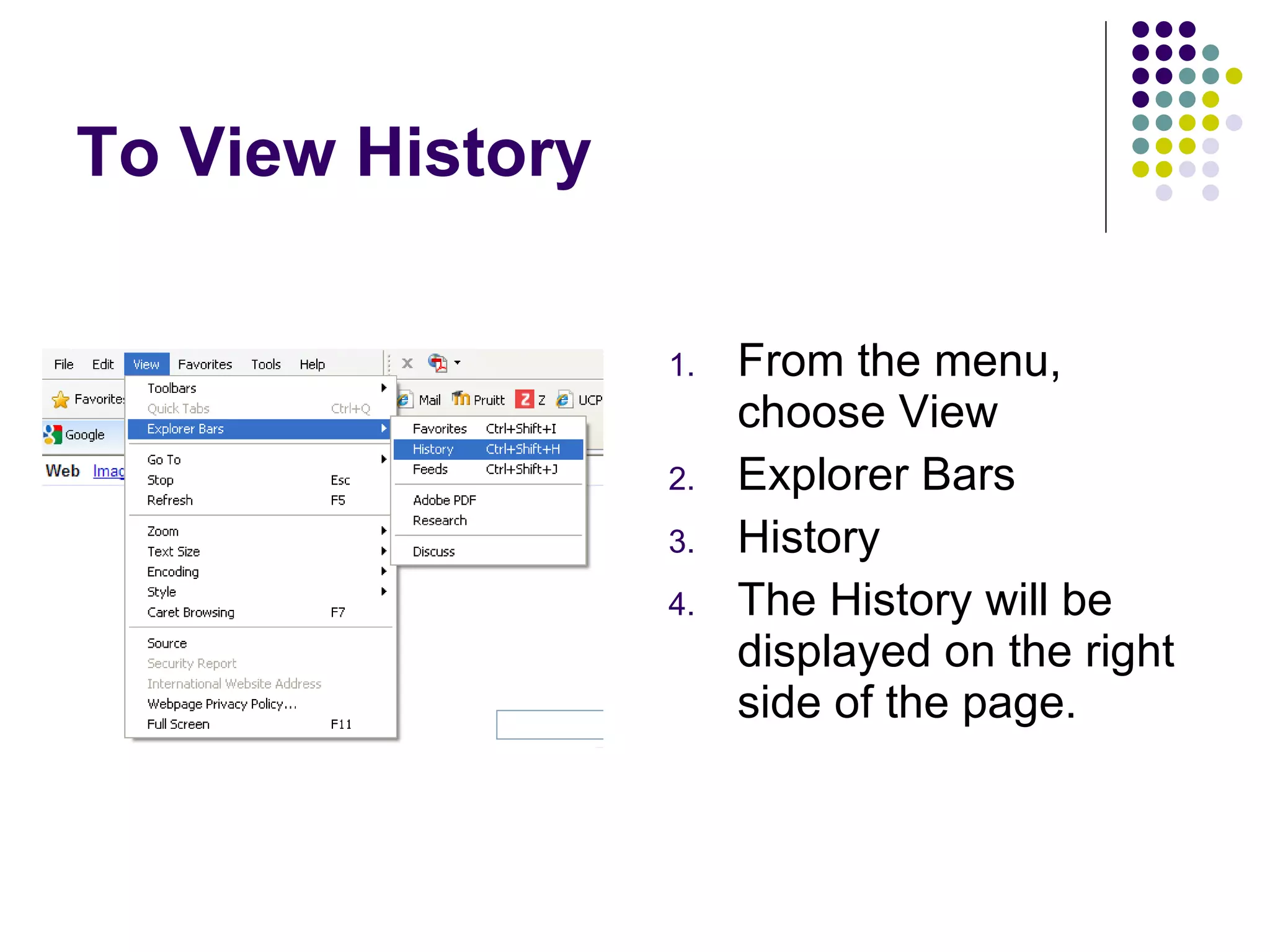 To View History From the menu, choose View Explorer Bars History The History will be displayed on the right side of the page. 