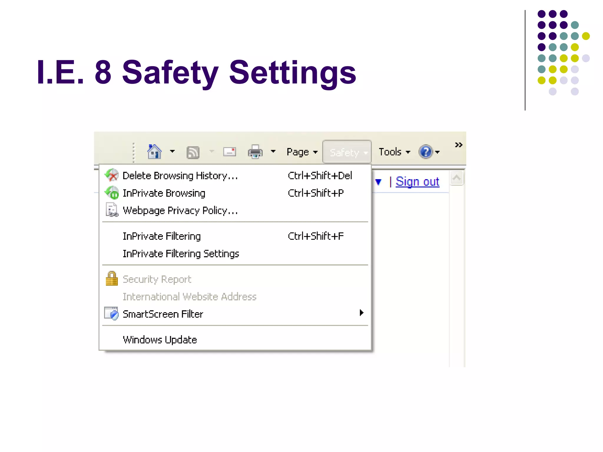I.E. 8 Safety Settings 