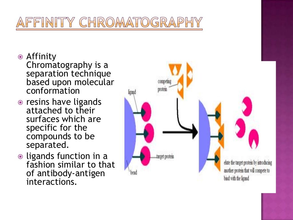 Techniques for protein purification